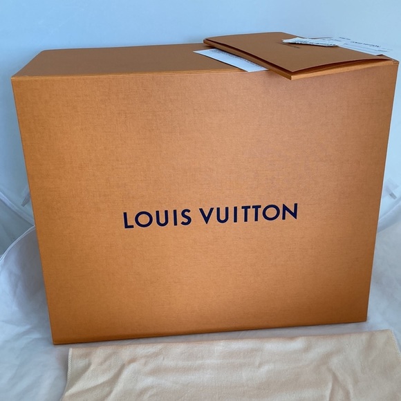 LOUIS Vuitton By The Pool Marshmallow Hobo - Picture 14 of 14